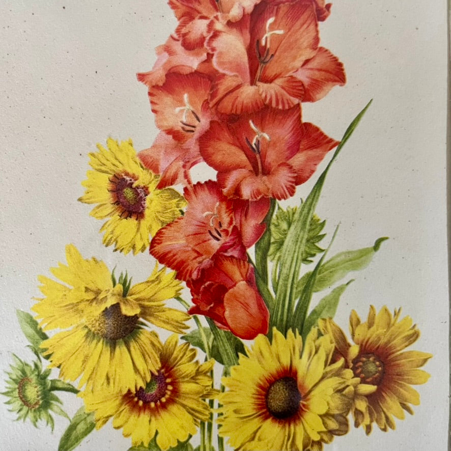 Vintage 8x10 Flower Print in White & Gold Frame